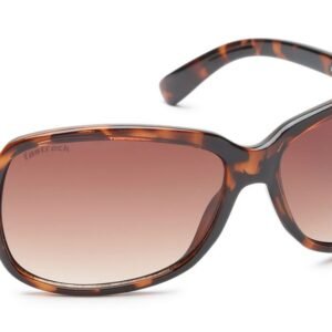Fastrack Brown Bugeye Sunglasses For Women P161BR1F