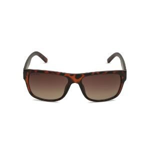 Fastrack Brown Square Sunglasses For Men P300BR2