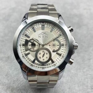 4013SMWH NTN WATCH