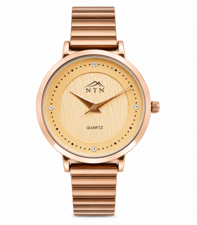 Elegant NTN quartz watch with golden dial and steel strap for women.