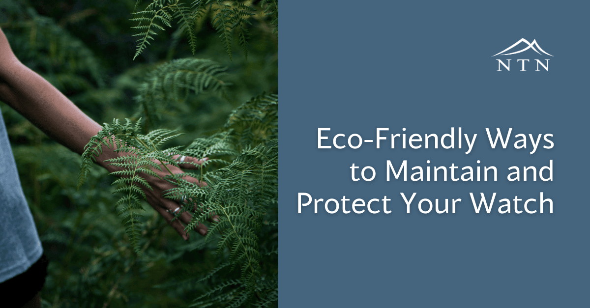 Close-up of hands gently touching green fern leaves in nature.