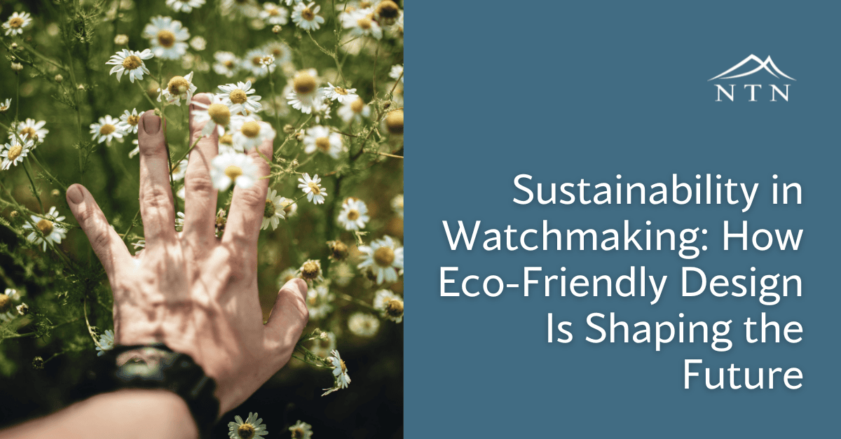 Hand reaching for daisies in greenery.